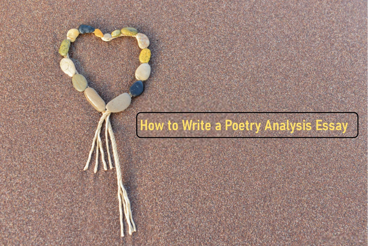 how to write a poetry essay